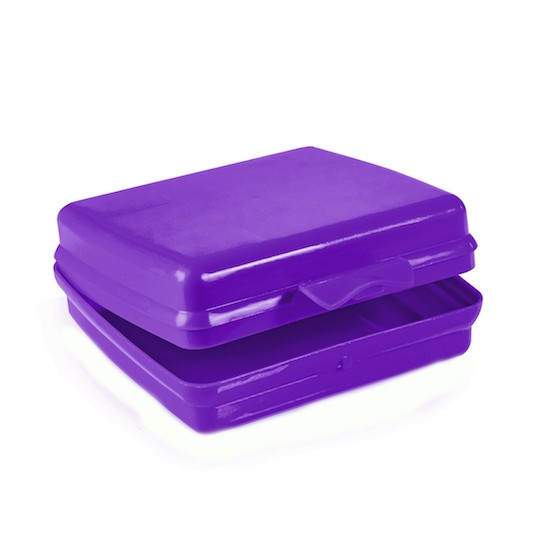 Purple Sandwich Container BPA Free